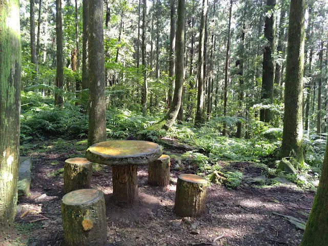 東眼山國家森林遊樂區 - 親子峰步道