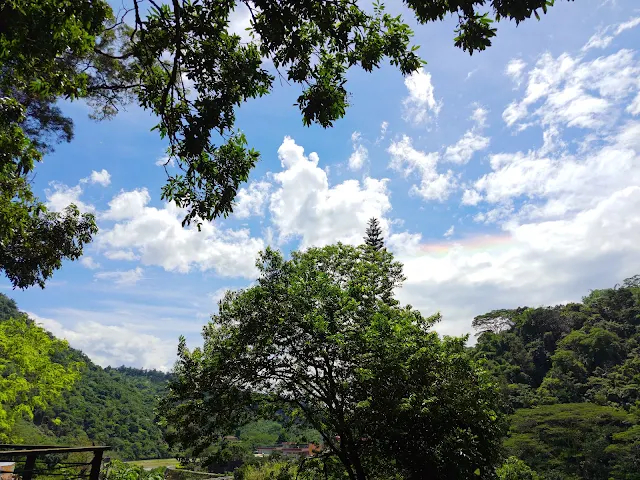 觸口天長地久橋 (阿里山國家風景區) - 天長橋步道 - 景觀台 - 彩虹 觸口天長地久橋 (阿里山國家風景區) - 天長橋步道 - 景觀台 - 彩虹