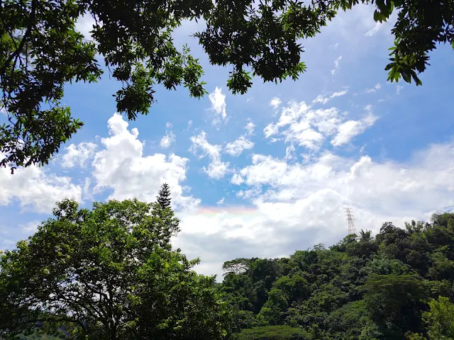 觸口天長地久橋 (阿里山國家風景區) - 天長橋步道 - 景觀台 - 彩虹 觸口天長地久橋 (阿里山國家風景區) - 天長橋步道 - 景觀台 - 彩虹