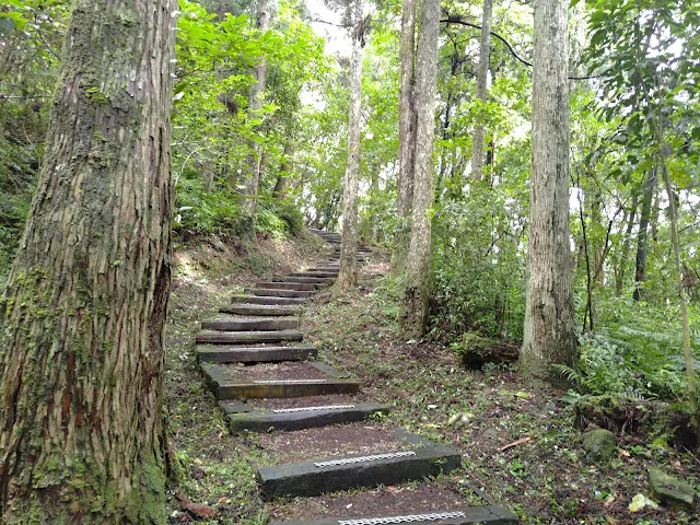 東眼山國家森林遊樂區 - 親子峰步道