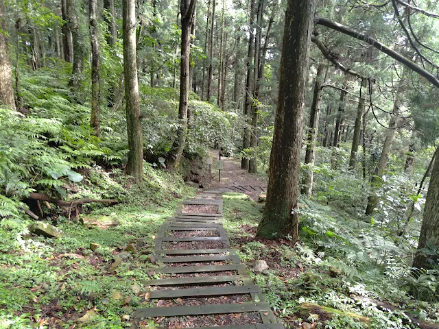 東眼山國家森林遊樂區 - 親子峰步道