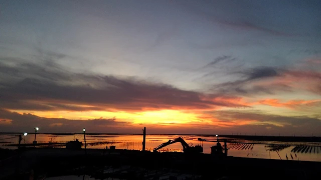 白水湖漁港 白水湖漁港