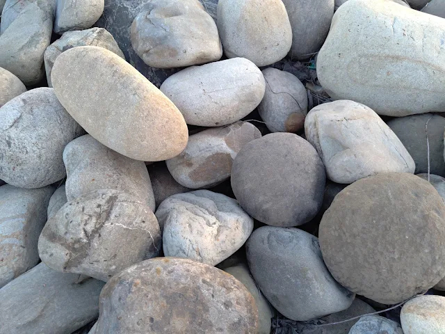 白水湖壽島 白水湖壽島