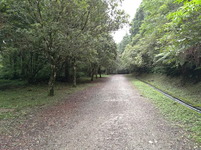 東眼山國家森林遊樂區 - 地質走廊