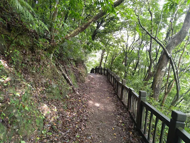 東眼山國家森林遊樂區 - 親子峰步道