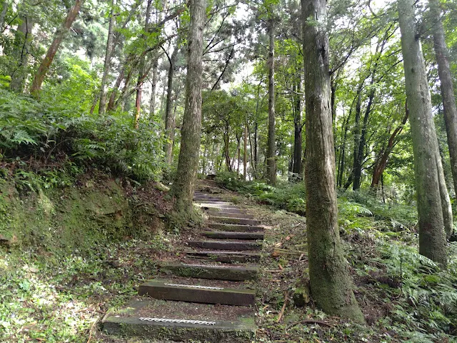 東眼山國家森林遊樂區 - 親子峰步道