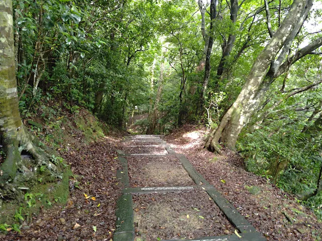東眼山國家森林遊樂區 - 親子峰步道