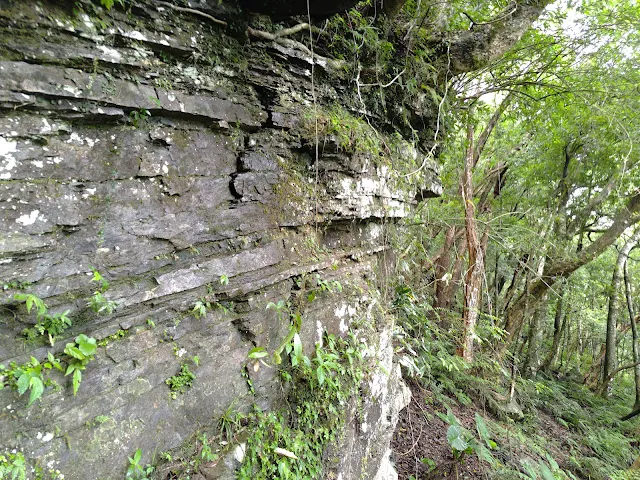 東眼山國家森林遊樂區 - 親子峰步道