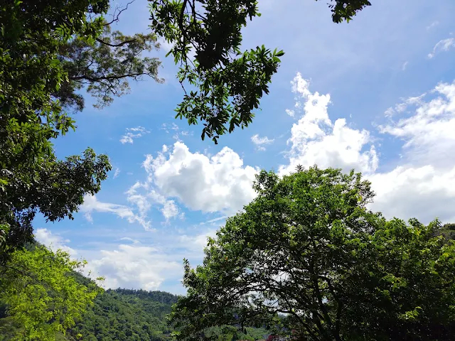 觸口天長地久橋 (阿里山國家風景區) - 天長橋步道 - 景觀台 觸口天長地久橋 (阿里山國家風景區) - 天長橋步道 - 景觀台
