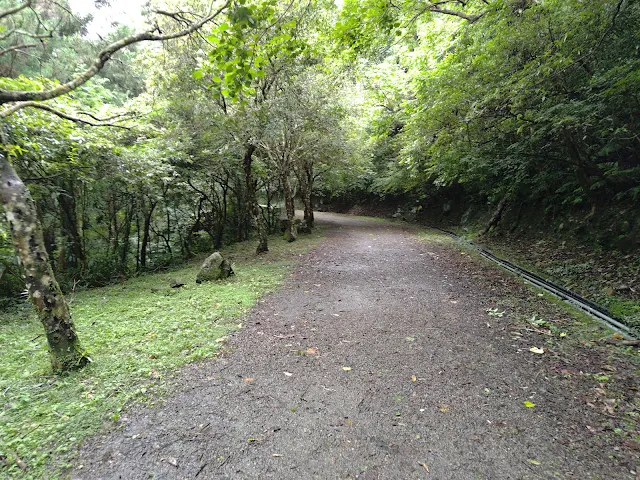 東眼山國家森林遊樂區 - 地質走廊