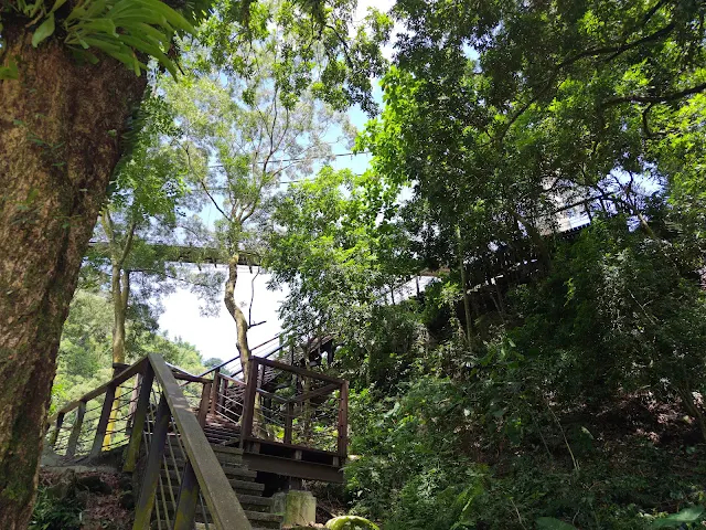 觸口天長地久橋 (阿里山國家風景區) - 天長橋步道 觸口天長地久橋 (阿里山國家風景區) - 天長橋步道