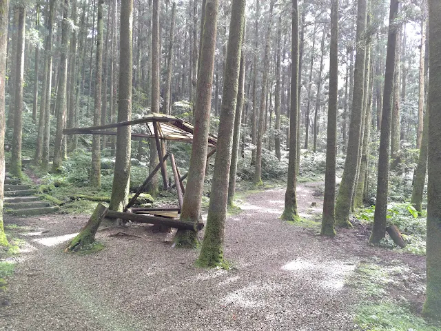 東眼山國家森林遊樂區 - 親子峰步道