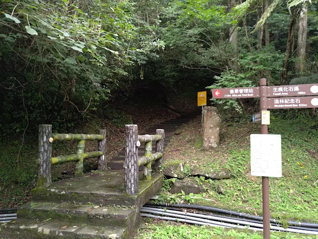 東眼山國家森林遊樂區 - 地質走廊