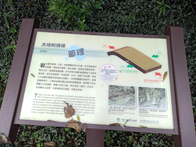 東眼山國家森林遊樂區 - 地質走廊 - 節理