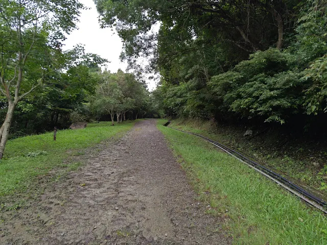 東眼山國家森林遊樂區 - 地質走廊