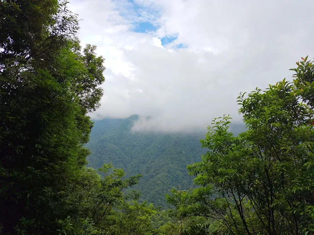 東眼山國家森林遊樂區 - 親子峰步道
