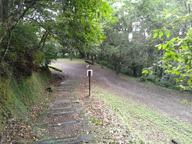 東眼山國家森林遊樂區 - 地質走廊