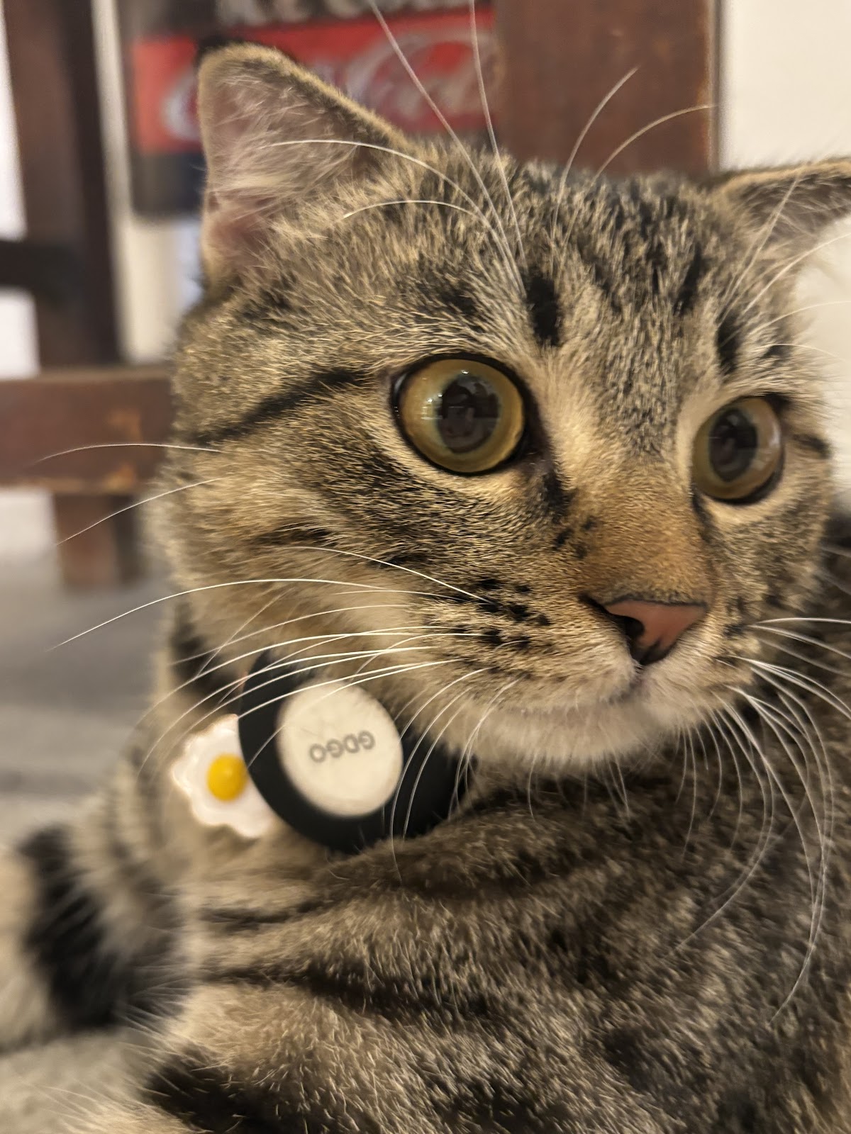 #我來開箱 📍廣州 4 天 3 夜|香水博物館、米其林一星福