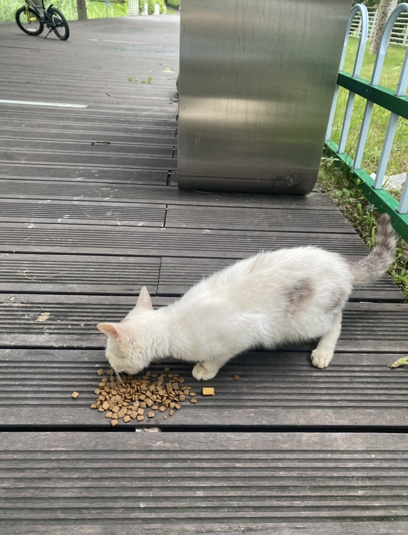 #我來開箱 📍廣州 4 天 3 夜|香水博物館、米其林一星福