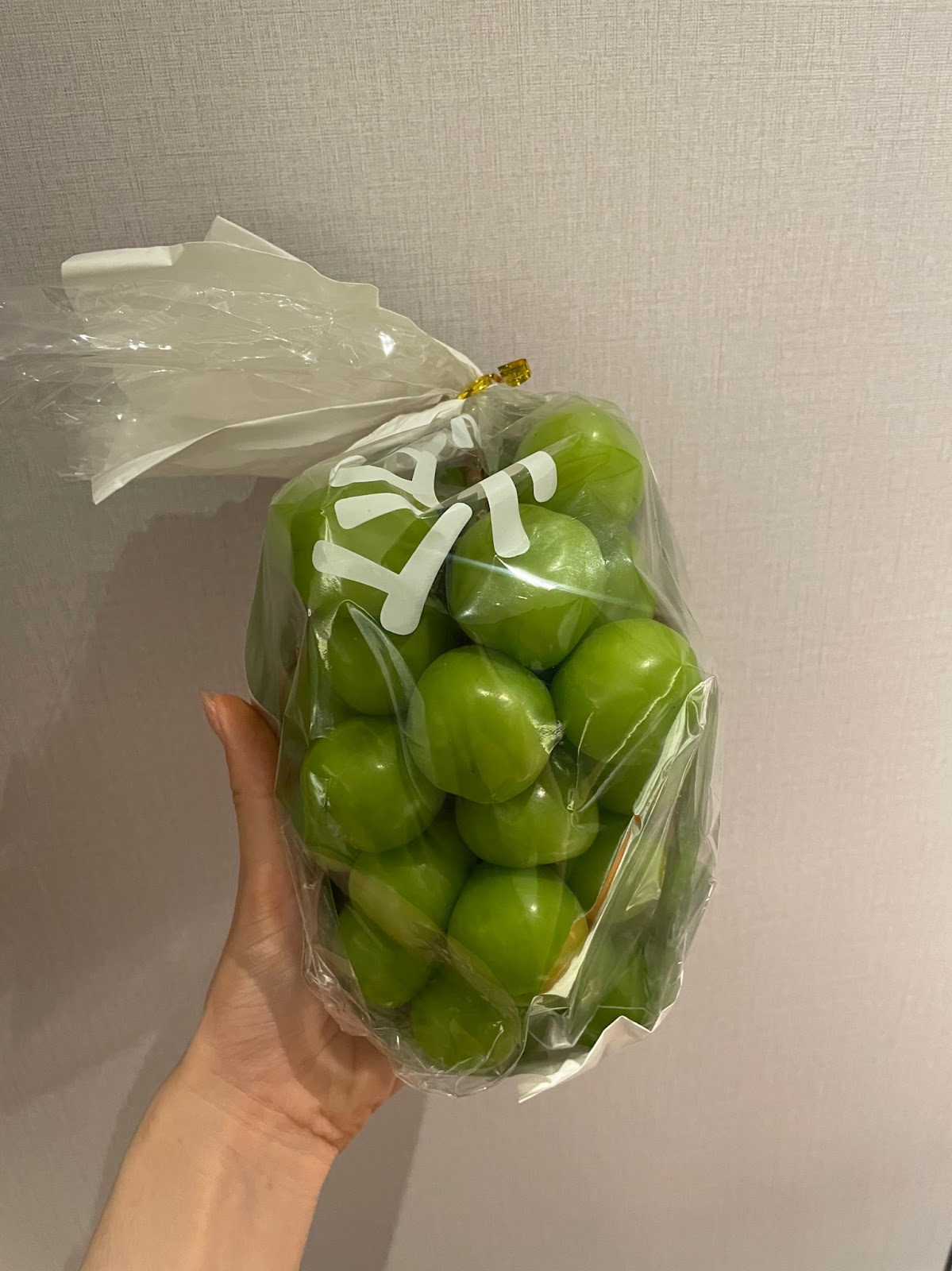 #我來開箱 📍廣州 4 天 3 夜|香水博物館、米其林一星福