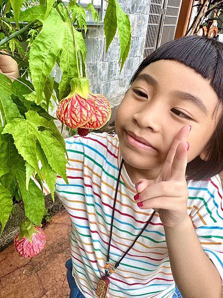 【台中新社|幸福農莊】兩天一夜親子旅行日記|沉浸式體驗:木屋