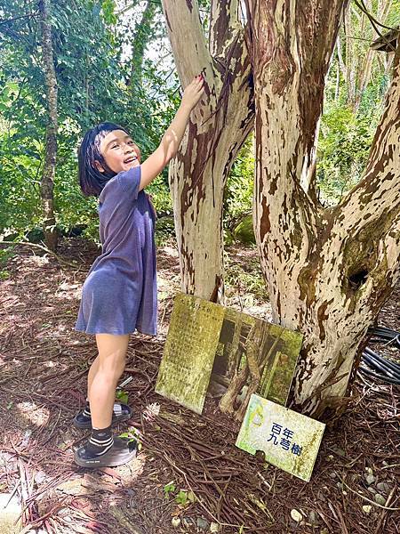 【台中新社|幸福農莊】兩天一夜親子旅行日記|沉浸式體驗:木屋