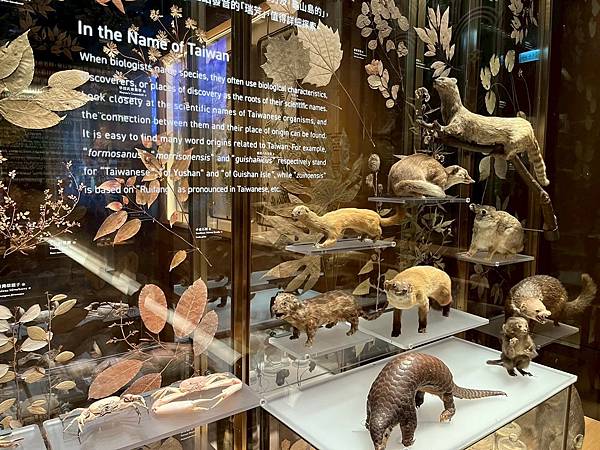 LINE_ALBUM_國立臺灣博物館x安妮王的旅行記_250824_39