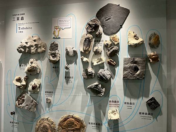 LINE_ALBUM_國立臺灣博物館x安妮王的旅行記_250824_115 LINE_ALBUM_國立臺灣博物館x安妮王的旅行記_250824_115