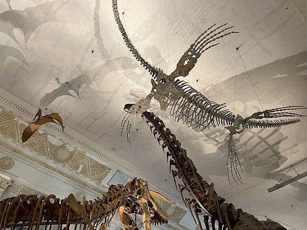 LINE_ALBUM_國立臺灣博物館x安妮王的旅行記_250824_114 LINE_ALBUM_國立臺灣博物館x安妮王的旅行記_250824_114