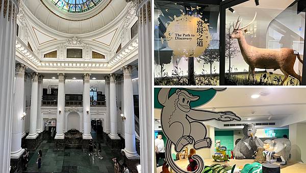 LINE_ALBUM_國立臺灣博物館x安妮王的旅行記_250824_87