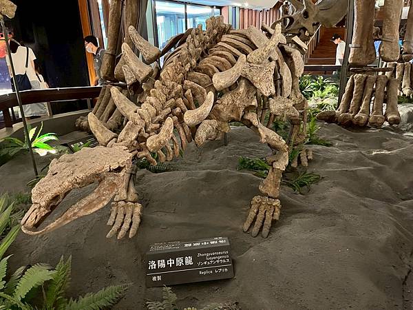 LINE_ALBUM_國立臺灣博物館x安妮王的旅行記_250824_113 LINE_ALBUM_國立臺灣博物館x安妮王的旅行記_250824_113