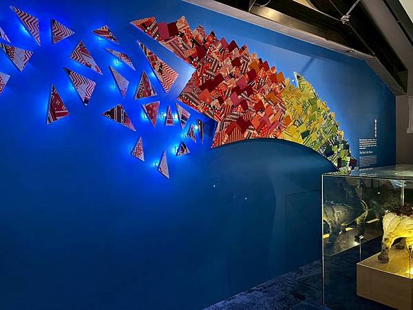 LINE_ALBUM_國立臺灣博物館x安妮王的旅行記_250824_29