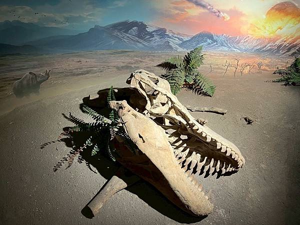 LINE_ALBUM_國立臺灣博物館x安妮王的旅行記_250824_106 LINE_ALBUM_國立臺灣博物館x安妮王的旅行記_250824_106