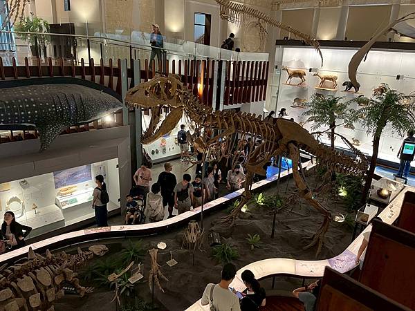 LINE_ALBUM_國立臺灣博物館x安妮王的旅行記_250824_102 LINE_ALBUM_國立臺灣博物館x安妮王的旅行記_250824_102