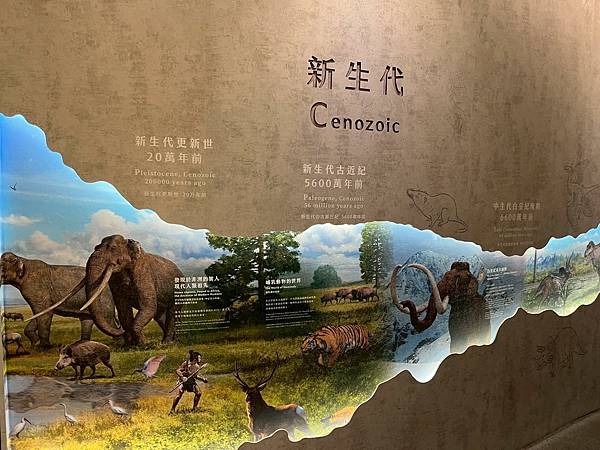 LINE_ALBUM_國立臺灣博物館x安妮王的旅行記_250824_117 LINE_ALBUM_國立臺灣博物館x安妮王的旅行記_250824_117