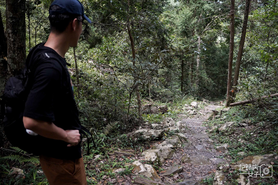 9台中和平區谷關七雄八仙山國家森林遊樂區健行筆記步道山頂鳥.jpg