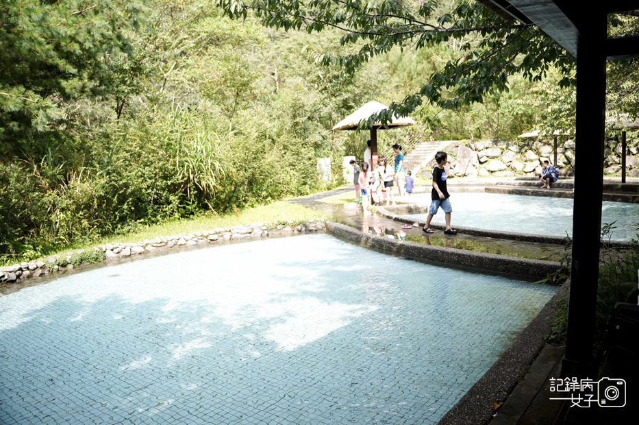 26台中和平區谷關七雄八仙山國家森林遊樂區健行筆記步道山頂鳥.jpg