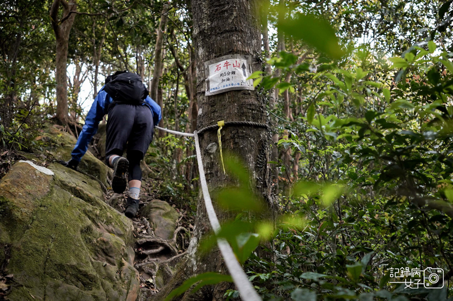 19桃園新竹小百岳石牛山步道拉繩攀岩五寮尖.jpg