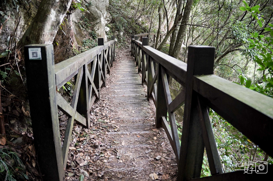 10台中和平區谷關七雄八仙山國家森林遊樂區健行筆記步道山頂鳥.jpg