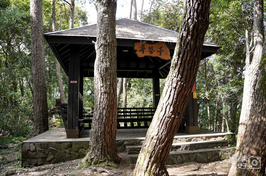 14台中和平區谷關七雄八仙山國家森林遊樂區健行筆記步道山頂鳥.jpg