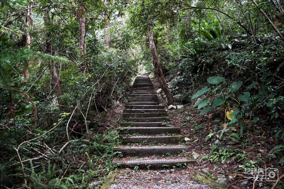 8台中和平區谷關七雄八仙山國家森林遊樂區健行筆記步道山頂鳥.jpg