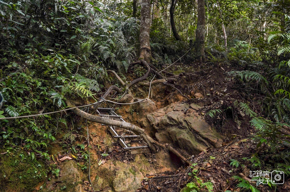 28桃園新竹小百岳石牛山步道拉繩攀岩五寮尖.jpg