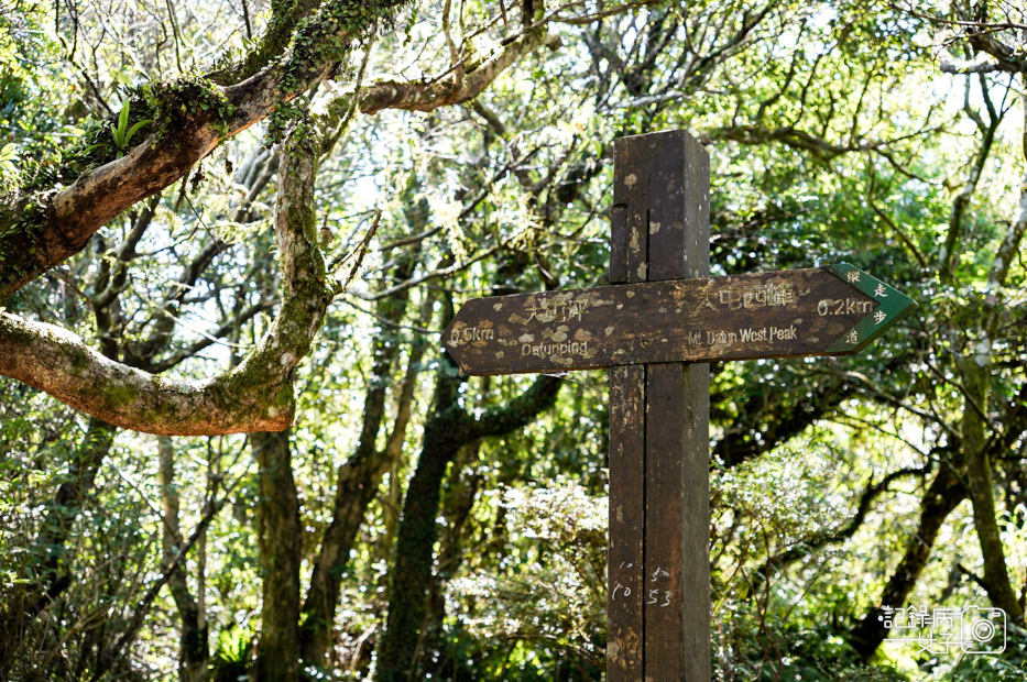 28健行筆記台北大縱走大屯山連峰步道陽明山小百岳大屯山主峰西峰南峰百大必訪步道.jpg