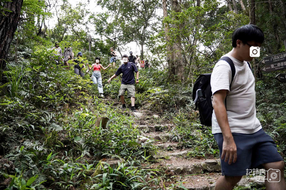 11台中和平區谷關七雄八仙山國家森林遊樂區健行筆記步道山頂鳥.jpg