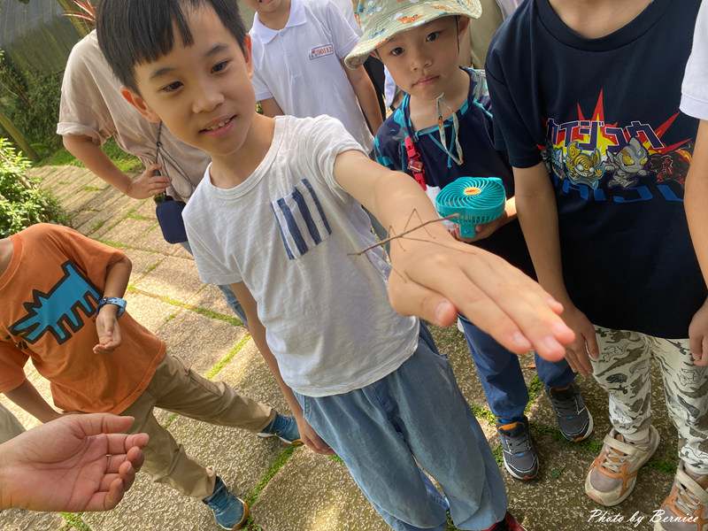 興福寮花卉綜合農場~生態豐富消耗體力放電好所在 @Bernice的隨手筆記