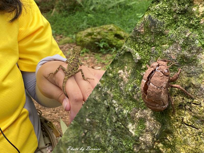 興福寮花卉綜合農場~生態豐富消耗體力放電好所在 @Bernice的隨手筆記