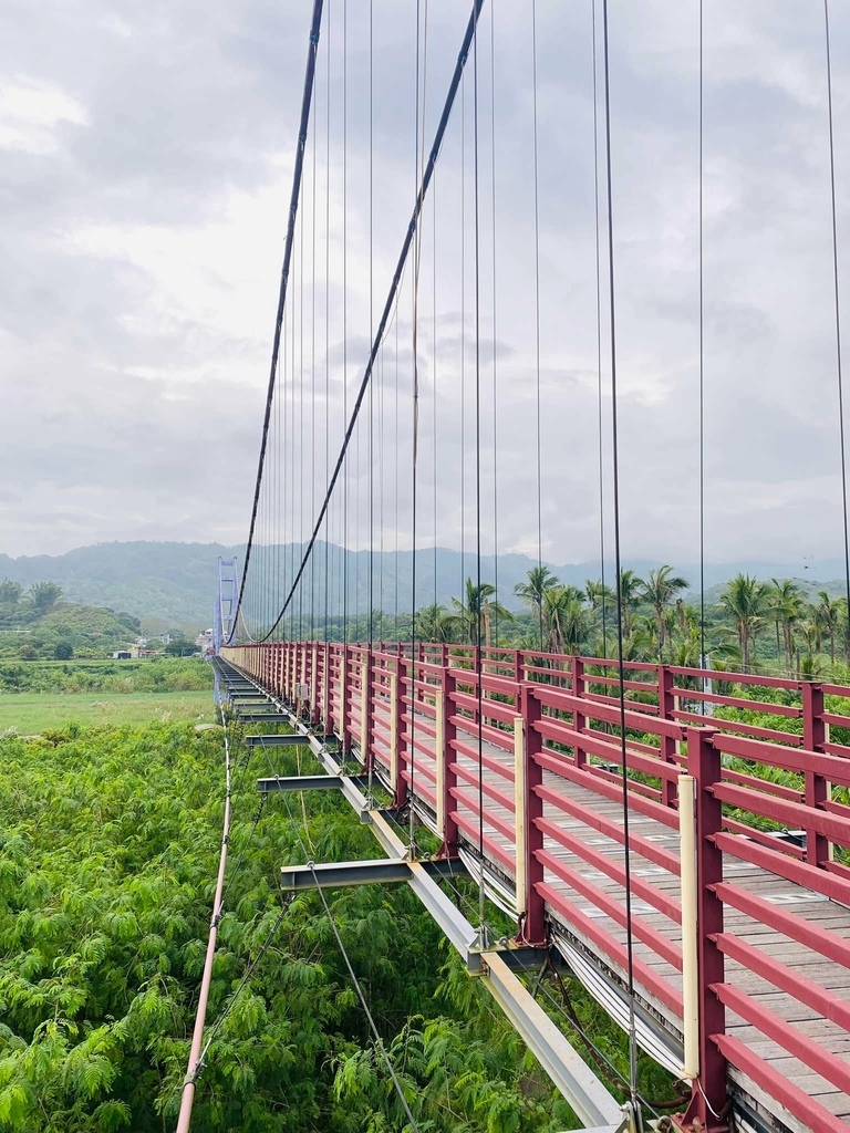 台南之最!楠西永興吊橋!紫色浪漫橫跨曾文溪,飽覽山水風光
