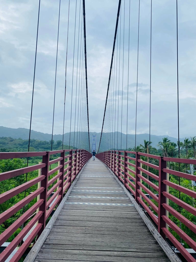 台南之最!楠西永興吊橋!紫色浪漫橫跨曾文溪,飽覽山水風光