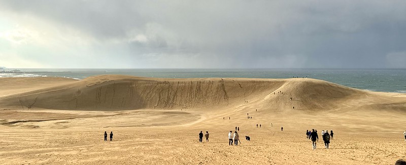 日本鳥取砂丘旁！偎岩吾打造高濱咖啡，有絕美砂丘景觀、道地鳥取美食。