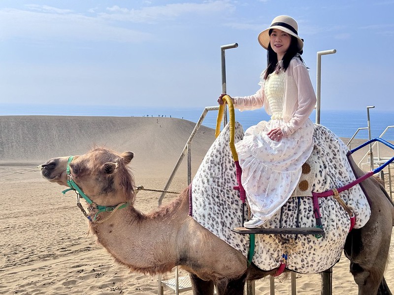 日本鳥取砂丘旁！偎岩吾打造高濱咖啡，有絕美砂丘景觀、道地鳥取美食。